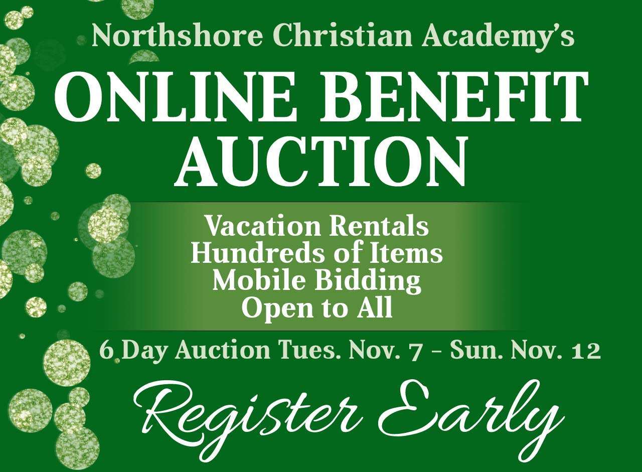 Online Benefit Auction